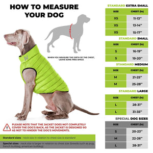 AiryVest Lightweight Reversible Winter Dog Jacket - MEDIUM -  Green/Blue