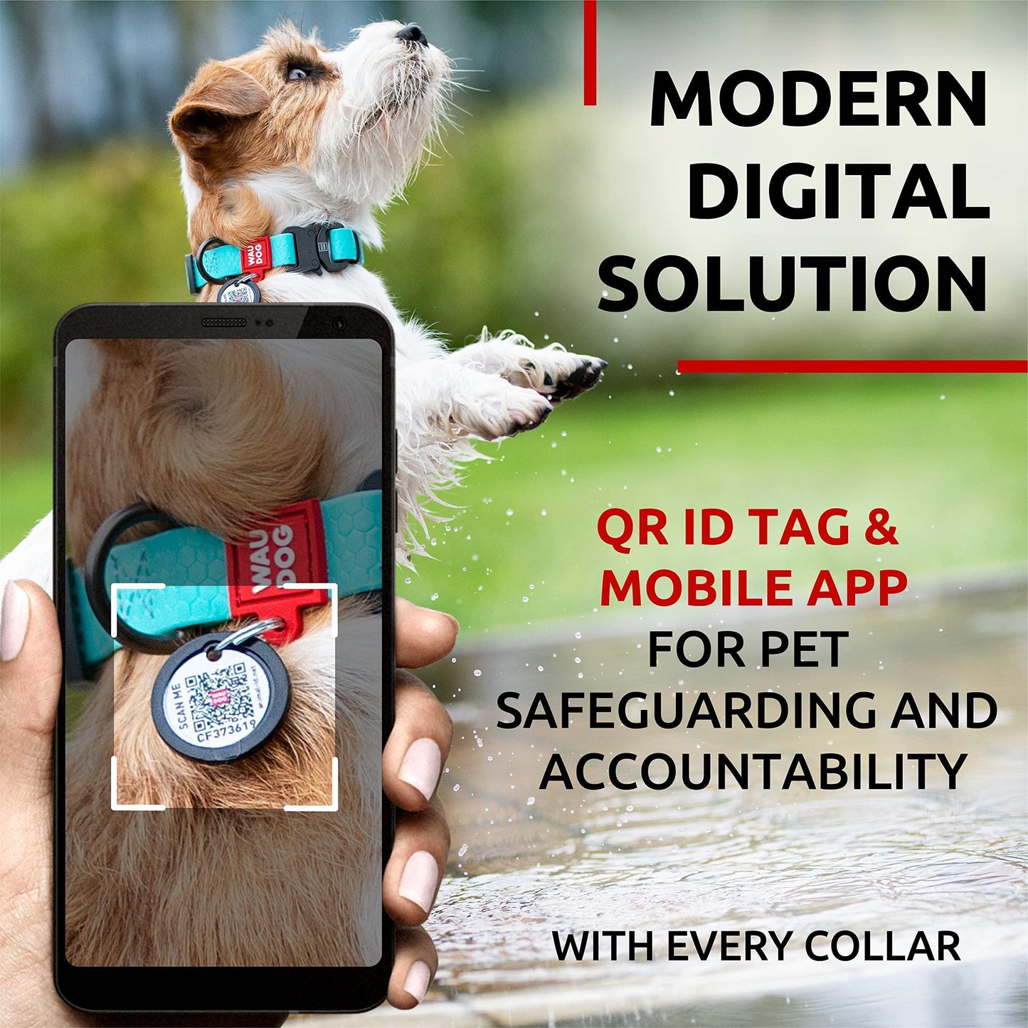 WAUDOG Adjustable Waterproof Glow in The Dark Dog Collar with Durable Metal Clasp and QR Dog Tag AQUA SMALL For Pet With Love