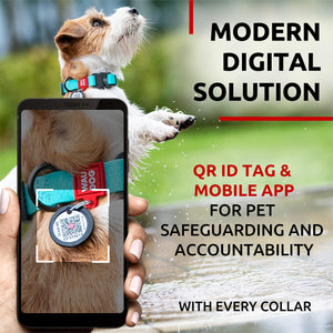 WAUDOG Adjustable Waterproof Glow in The Dark Dog Collar with Durable Metal Clasp and QR Dog Tag AQUA SMALL