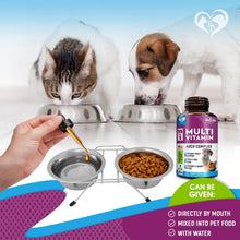 Load image into Gallery viewer, Beloved Pets 15in1 Multivitamin Supplement &amp; UTI Support for Cats &amp; Dogs 60ml
