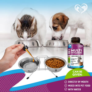 Beloved Pets 15in1 Multivitamin Supplement & UTI Support for Cats & Dogs 60ml