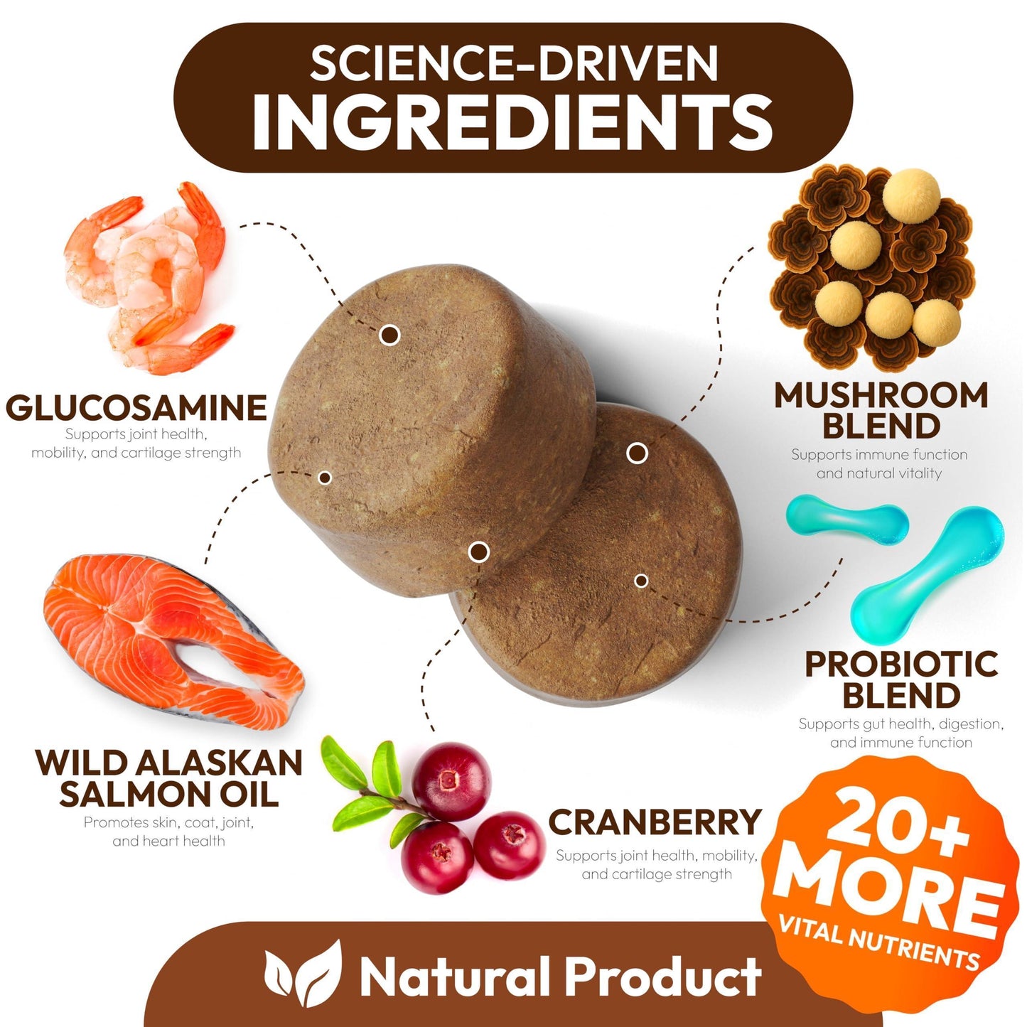 PETSOLOGY Mushroom Multivitamin Supplement for Dogs with Glucosamine, Omega 3 and Probiotics. 170 Chews For Pet With Love
