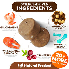 Load image into Gallery viewer, PETSOLOGY Mushroom Multivitamin Supplement for Dogs with Glucosamine, Omega 3 and Probiotics. 170 Chews
