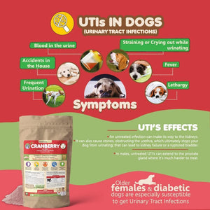Makondo Pets Cranberry UTI Treatment & Kidney Support for Dogs 5.3 Oz