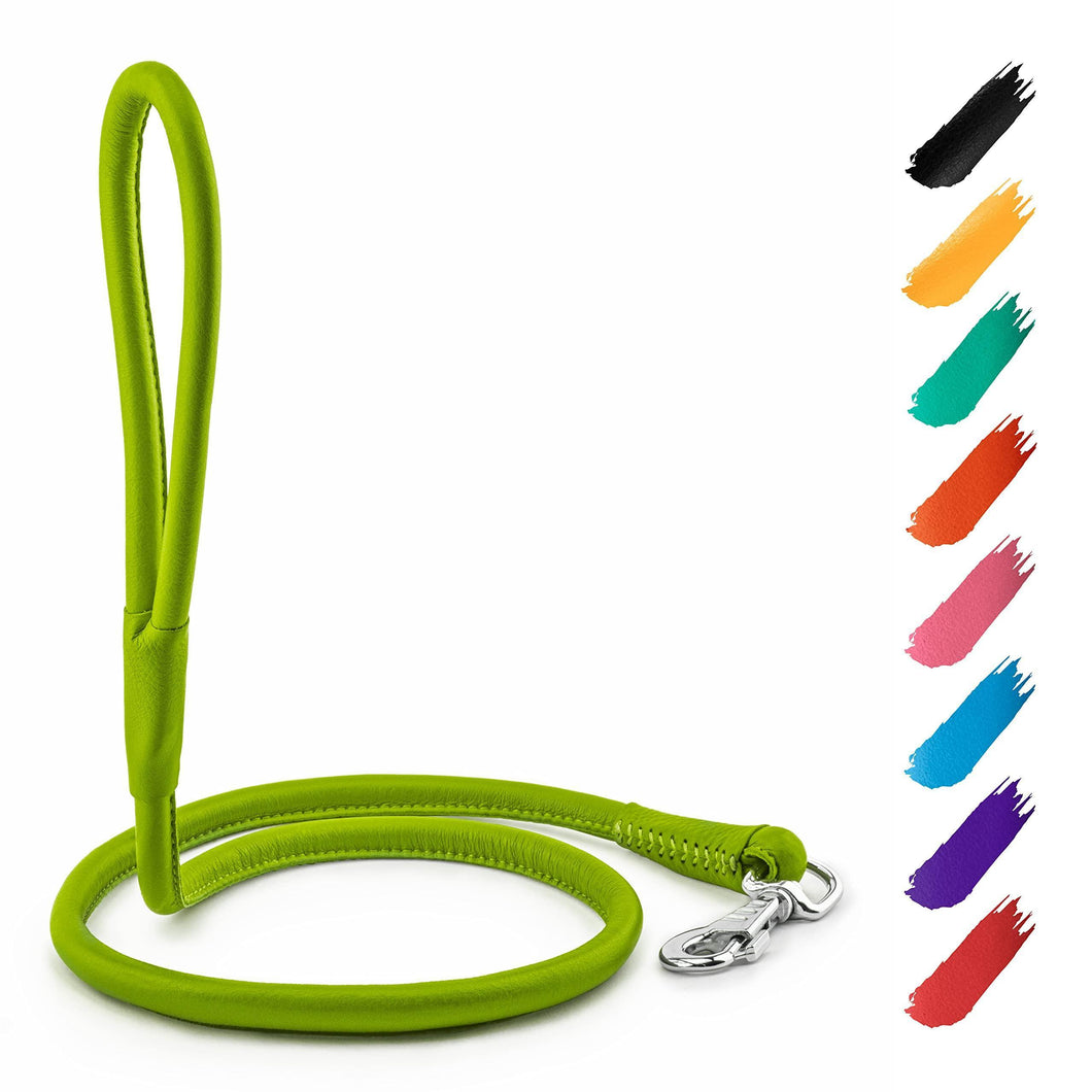 WAUDOG Rolled Leather Dog Leash 4Ft * 0.4 in for Small Medium and Large Dogs