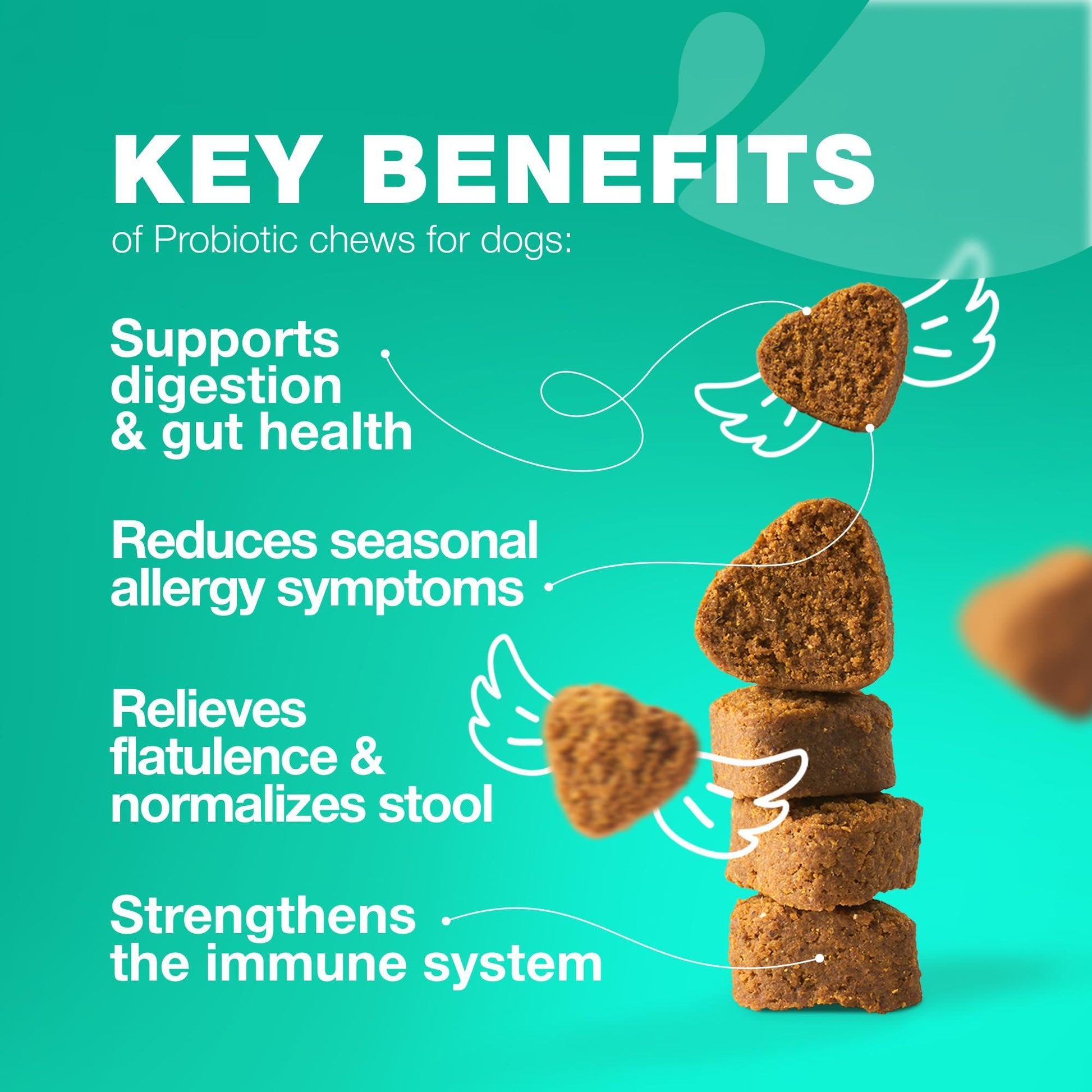 CHEWIA Probiotics and Digestive Enzymes Coprophagia Deterrent for Dogs 5 Oz For Pet With Love