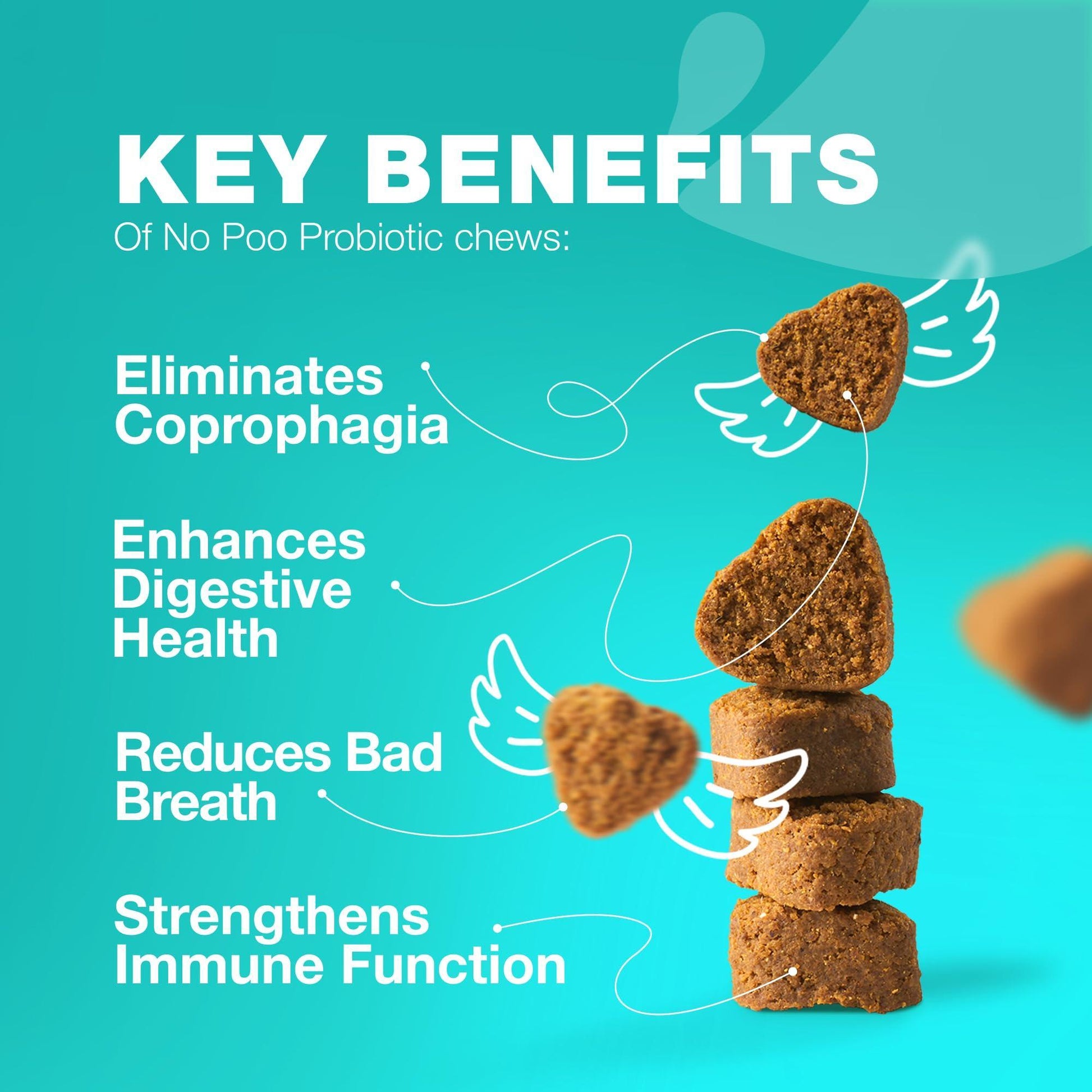CHEWIA No Poo Probiotics for Digestive Health Supplement and Coprophagia Deterrent Chews for Dogs. Digestive Gut & Immune Health Treats.  180 Chews. Duck Flavor For Pet With Love