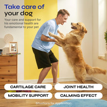 Load image into Gallery viewer, VETRICA Canine Hip &amp; Joint Supplement with Hemp &amp; Glucosamine 130 Chews
