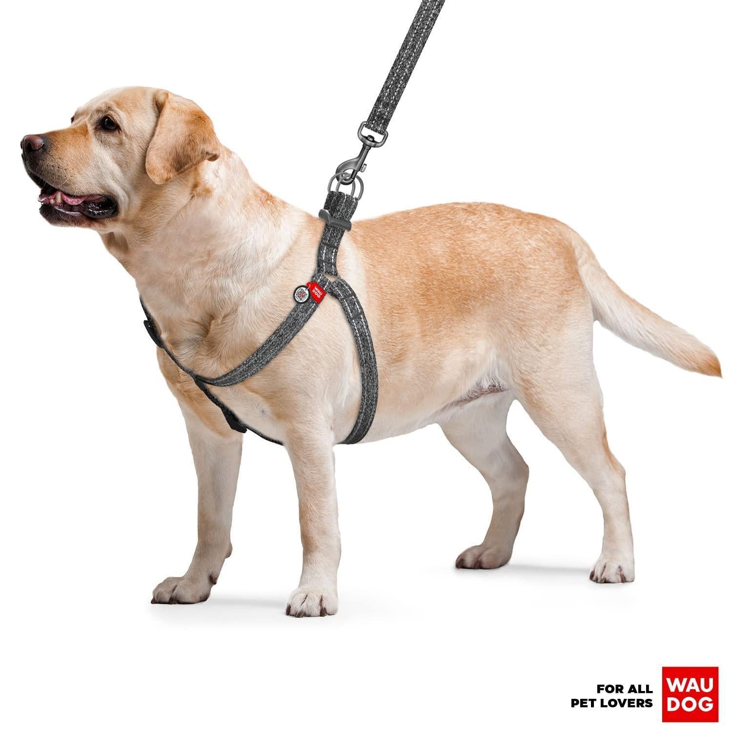 Re Cotton Dog Harness Eco Friendly Dog Harness for Small Dogs Medium & Large For Pet With Love