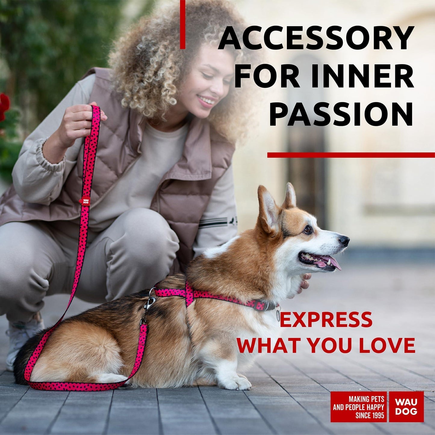 Nylon Dog Leash for Small Dogs and Medium Dogs 4 Ft   Strong Dog Leash for For Pet With Love
