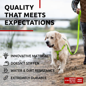 WAUDOG Waterproof Dog Leash 4 Ft   6 Ft   Anti Slip Dog Leash for Large Dogs