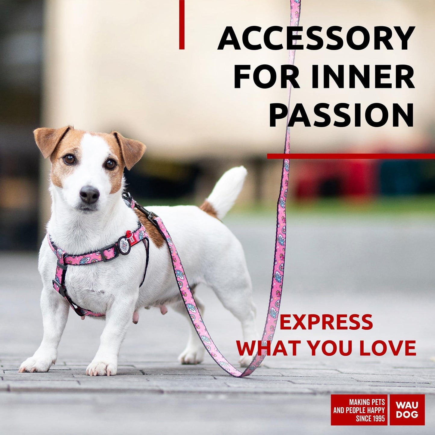 Nylon Dog Leash for Small Dogs and Medium Dogs 4 Ft   Strong Dog Leash for For Pet With Love