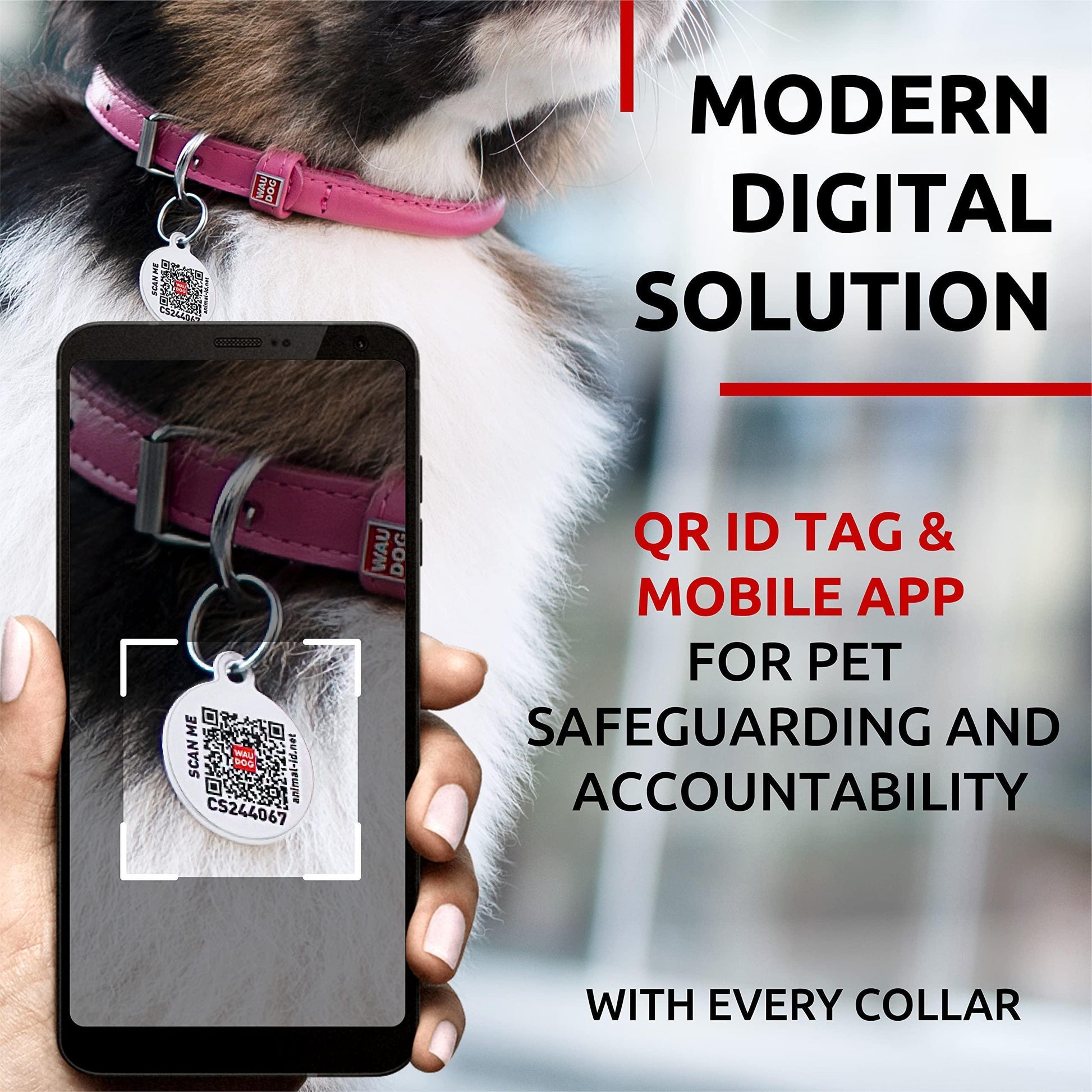 WAUDOG Ultra Soft Rolled Leather Dog Collar for Small Dogs   Soft Padded Dog For Pet With Love