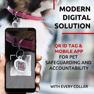WAUDOG Ultra Soft Rolled Leather Dog Collar for Small Dogs   Soft Padded Dog