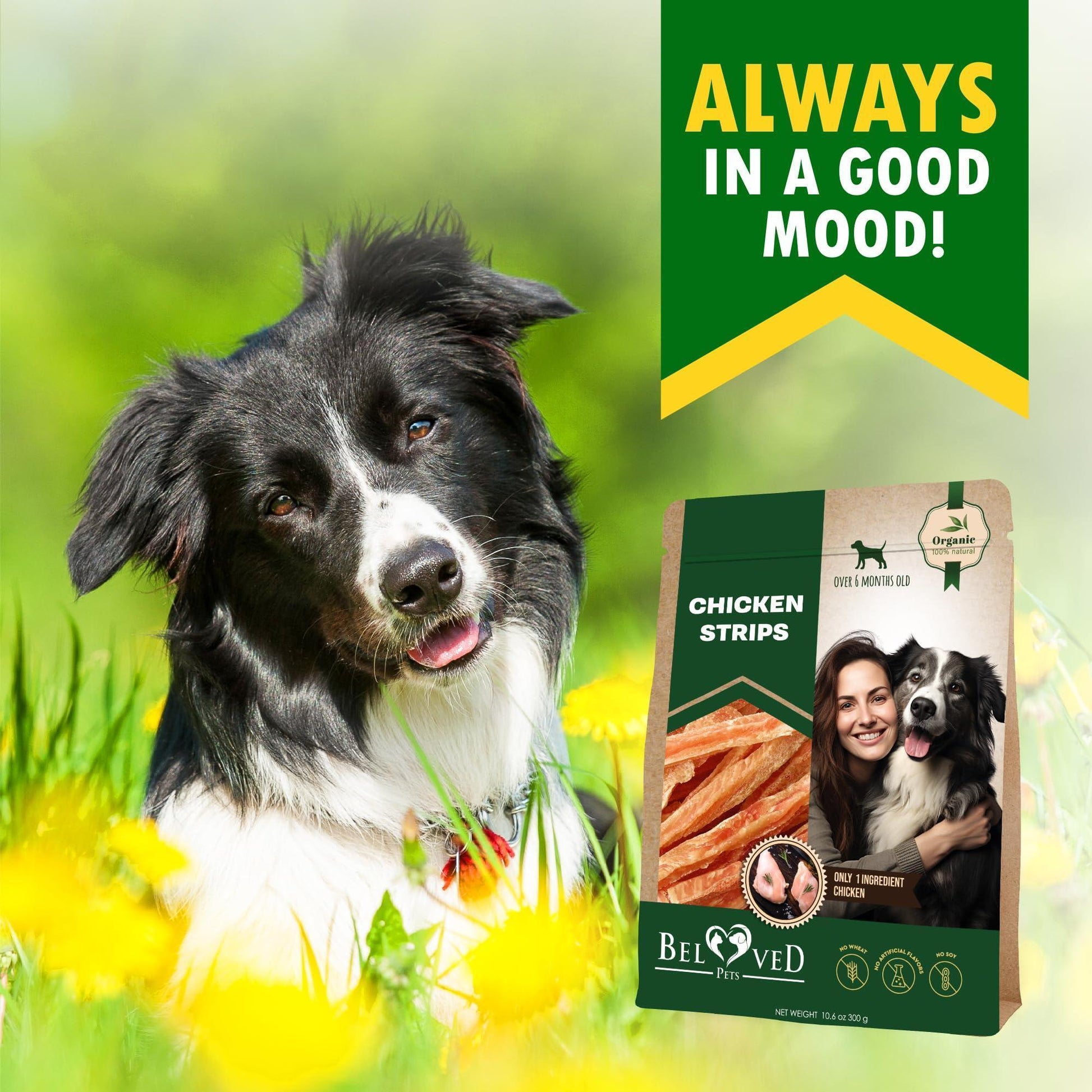 Beloved Pets Chicken Jerky Strips Dog Treats 10.6 Oz For Pet With Love