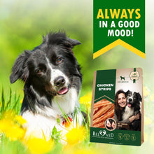 Load image into Gallery viewer, Beloved Pets Chicken Jerky Strips Dog Treats 10.6 Oz
