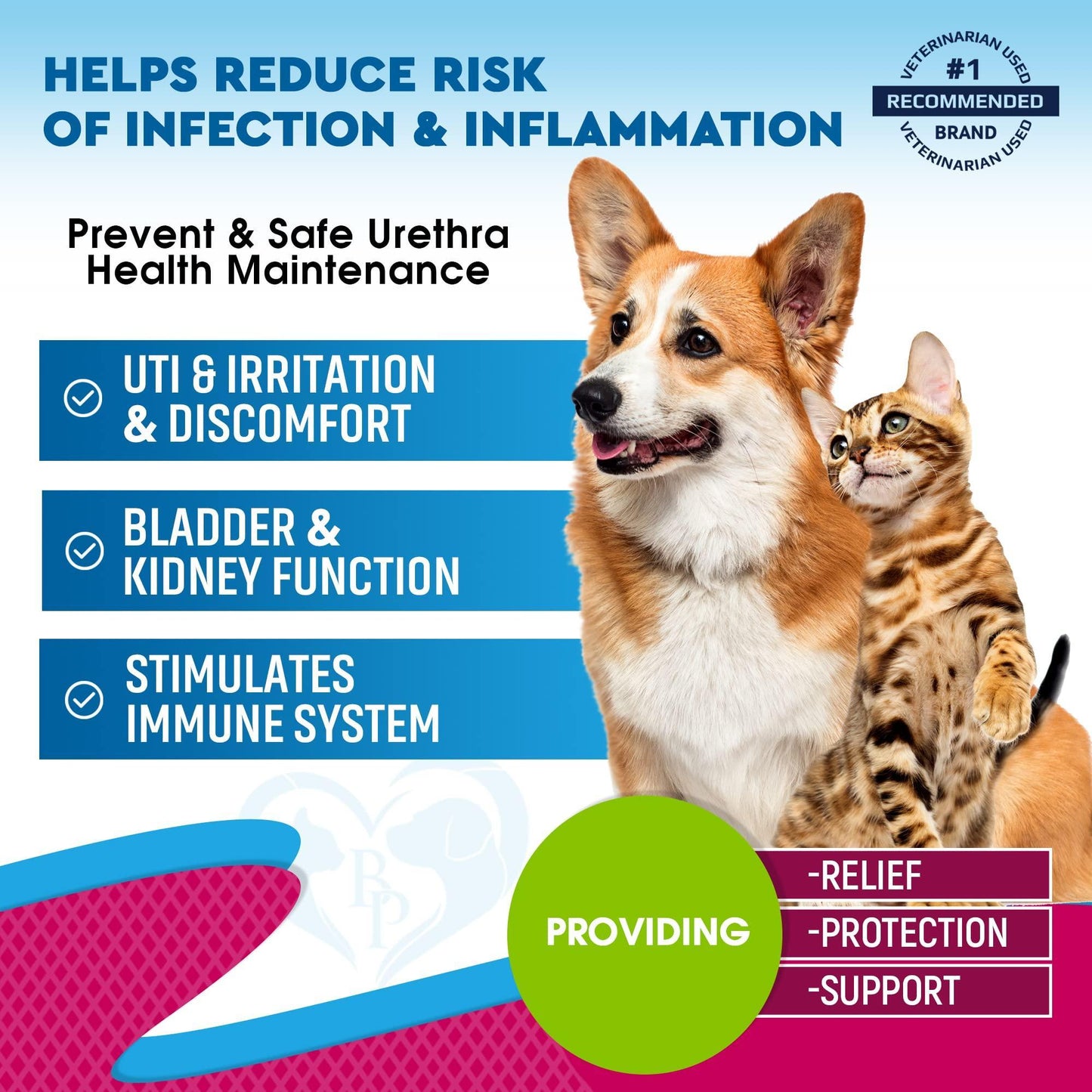 Beloved Pets Cat & Dog Urinary Tract Infection Treatment & Natural UTI Medicine Kidney Bladder Support Supplement  - Cranberry - 2 fl. oz. For Pet With Love