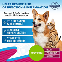 Load image into Gallery viewer, Cat &amp; Dog Natural Urinary Tract Infection Treatment - Cranberry
