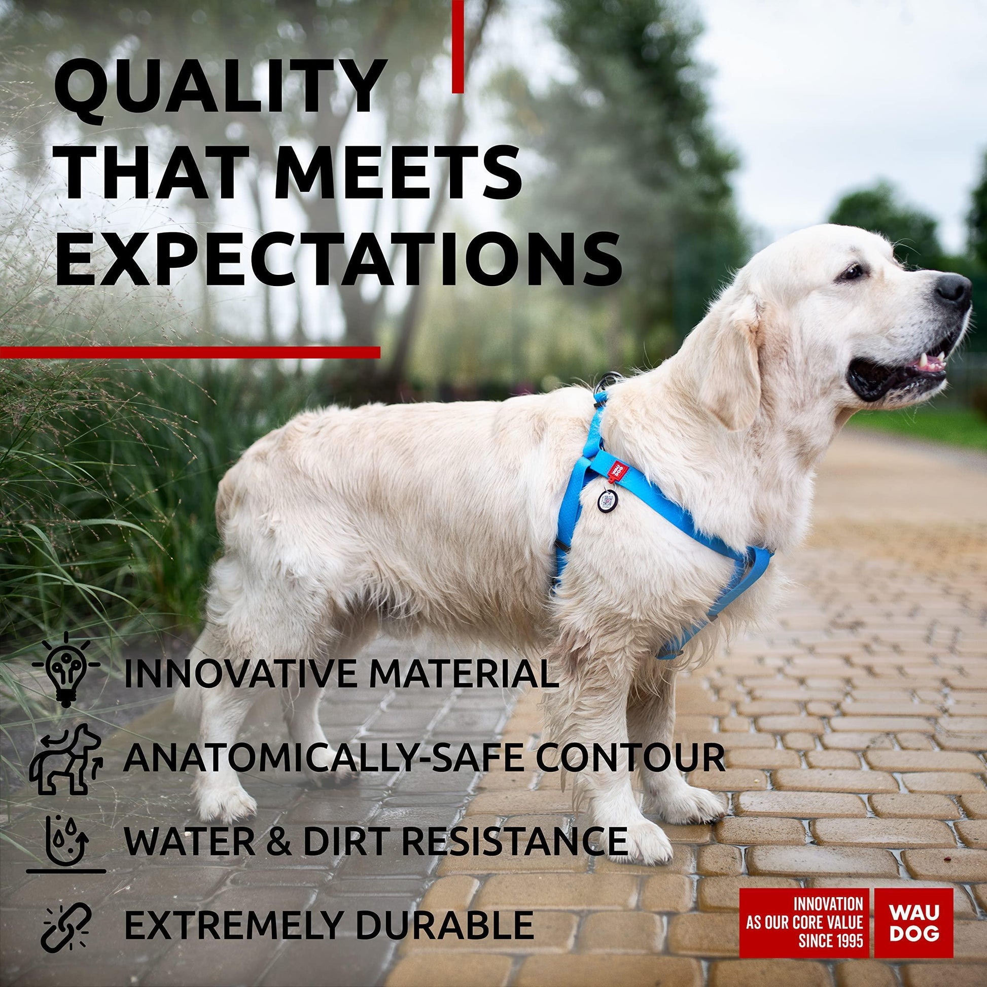 WAUDOG Waterproof Dog Harness   Adjustable Dog Harness for Large Dogs Small and For Pet With Love