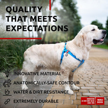Load image into Gallery viewer, WAUDOG Waterproof Dog Harness   Adjustable Dog Harness for Large Dogs Small and
