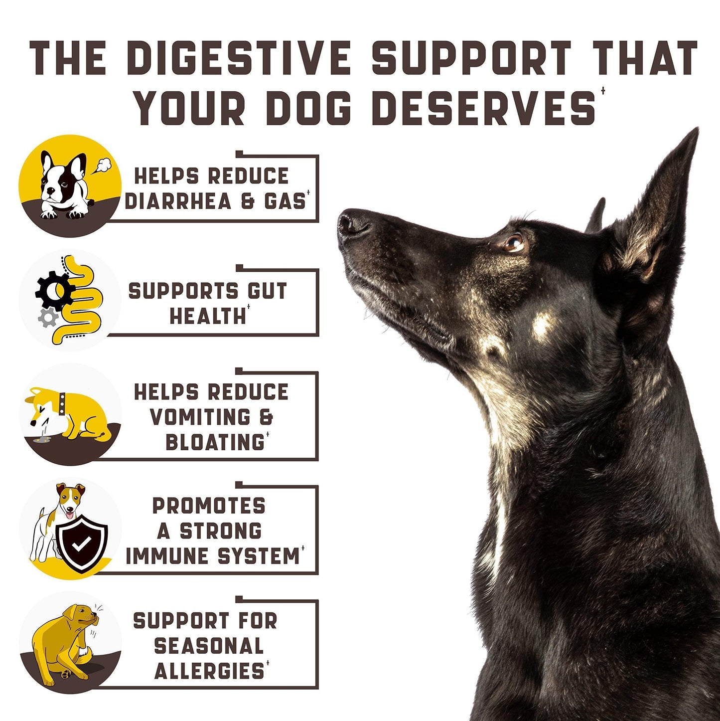 Kinpur Pet Care Probiotic Treats for Dogs 180 Chews For Pet With Love