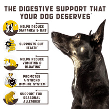 Load image into Gallery viewer, Kinpur Pet Care Probiotic Treats for Dogs 180 Chews
