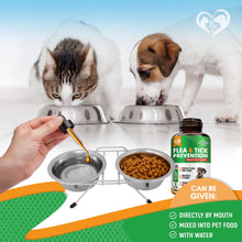 Load image into Gallery viewer, Beloved Pets Oral Flea &amp; Tick Prevention Multivitamin Drops Supplements . Natural Flea Control and Medicine &amp; Treatment for Dogs and Cats. Made in USA For Pet With Love
