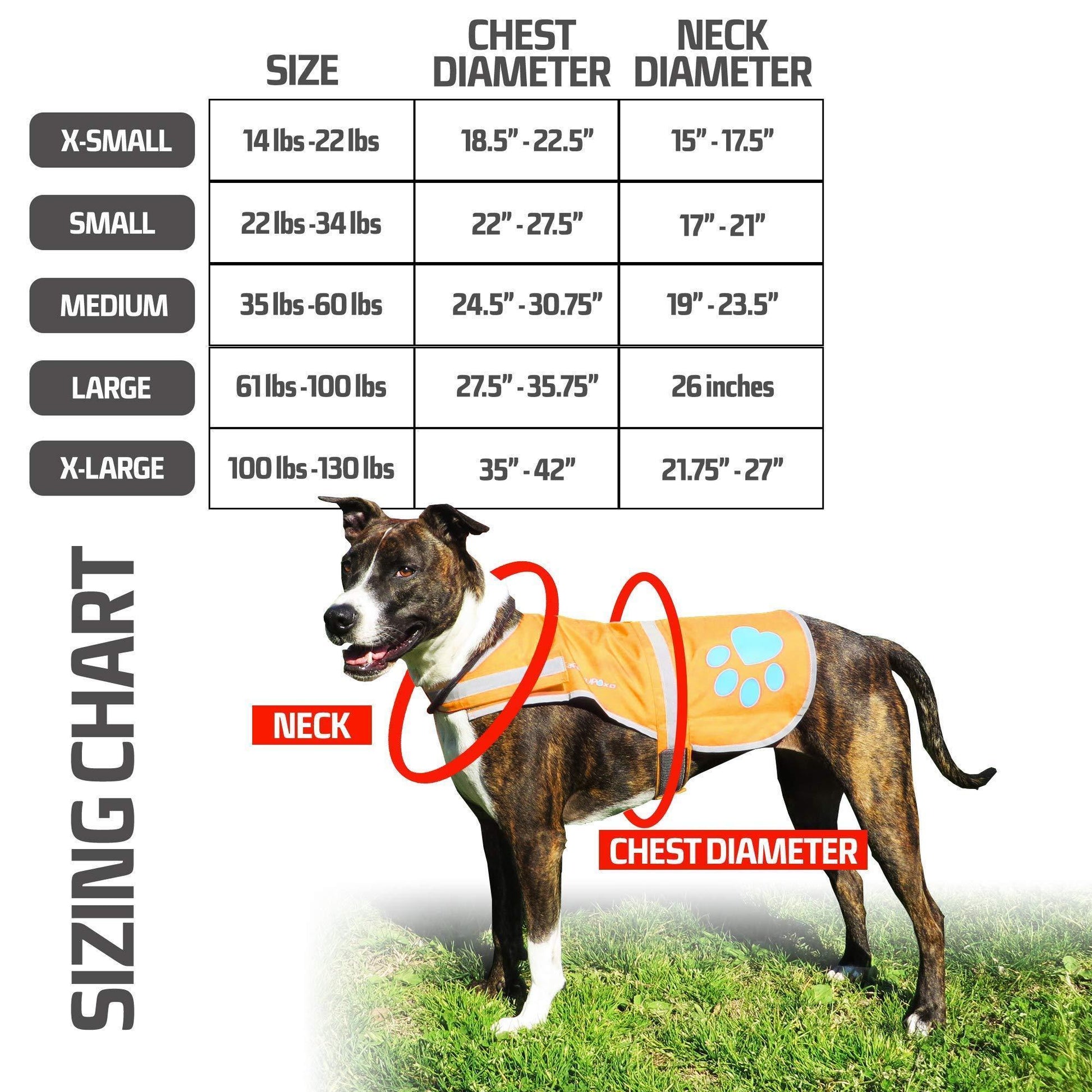 SafetyPUP XD Waterproof Hi Visibility Reflective Blaze Orange Dog Jacket with Light Fleece Lining LARGE For Pet With Love