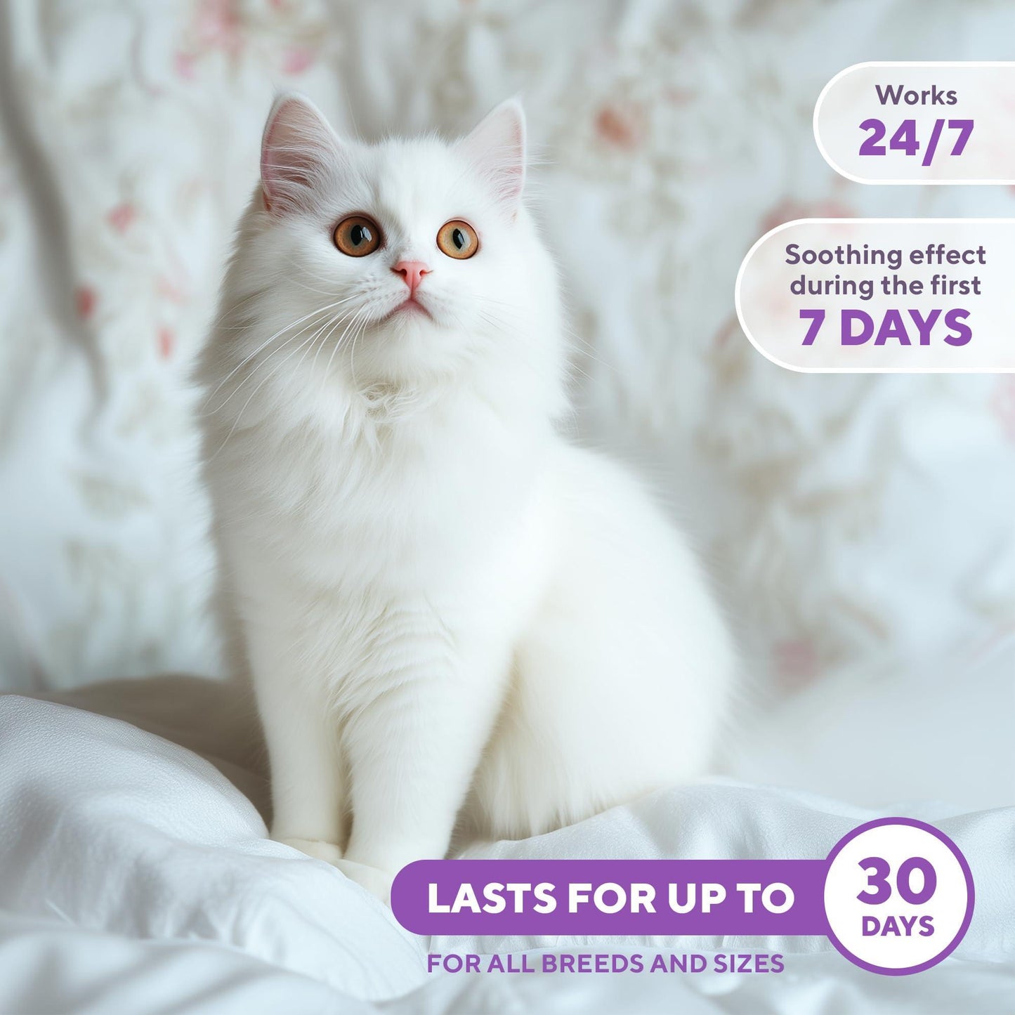 Beloved Pets RELAXIV Calming Pheromone Spray & Scratch Repellent for Cats. Reduces Furniture Scratching,  Fighting and Hiding. Helps to Relief Stress During Travel, Fireworks, Thunder, Vet Visits. 50mL For Pet With Love