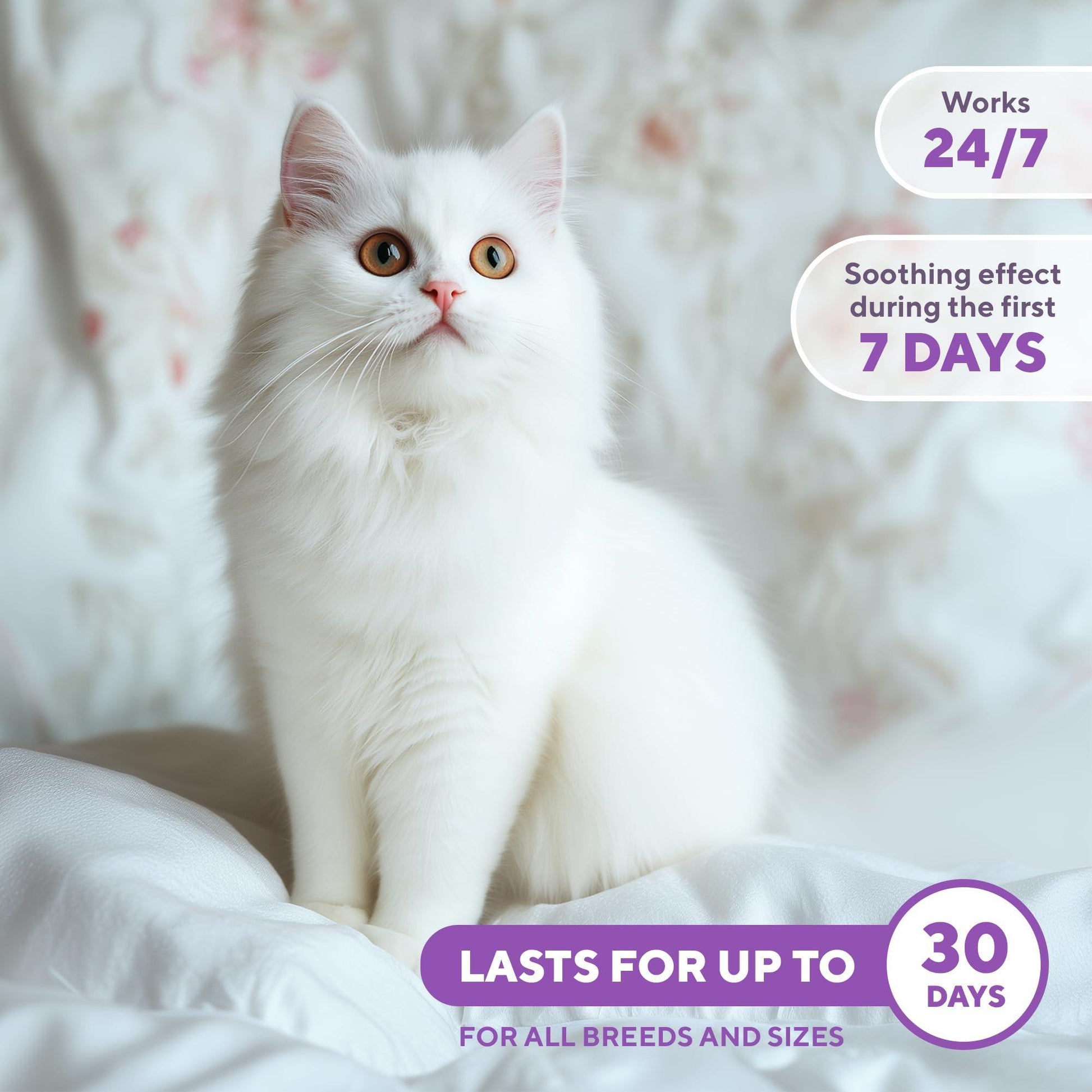Beloved Pets RELAXIV Calming Pheromone Spray & Scratch Repellent for Cats. Reduces Furniture Scratching,  Fighting and Hiding. Helps to Relief Stress During Travel, Fireworks, Thunder, Vet Visits. 50mL For Pet With Love