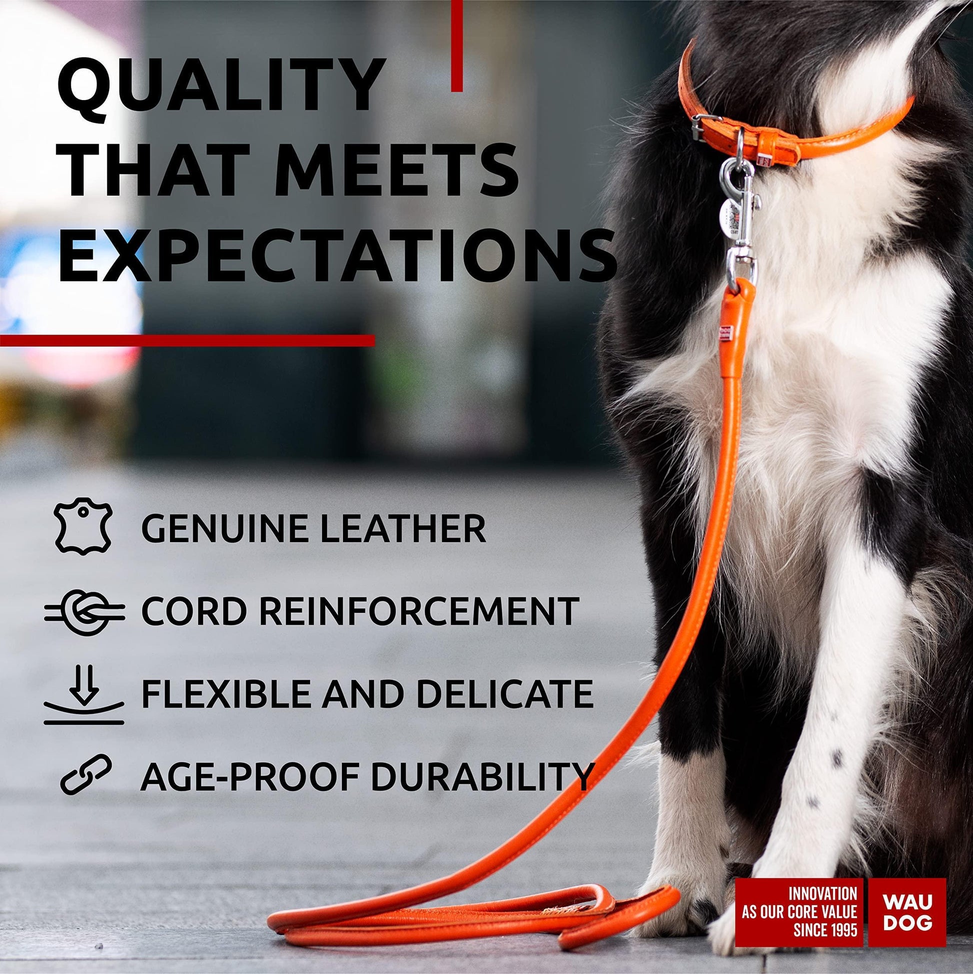 Rolled Leather Dog Leash 4Ft * 0.4 in for Small Medium and Large Dogs   Heavy For Pet With Love