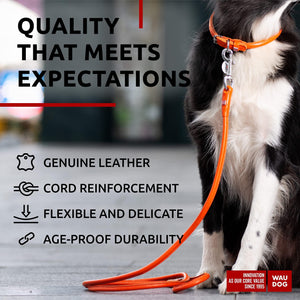 Rolled Leather Dog Leash 4Ft * 0.4 in for Small Medium and Large Dogs   Heavy
