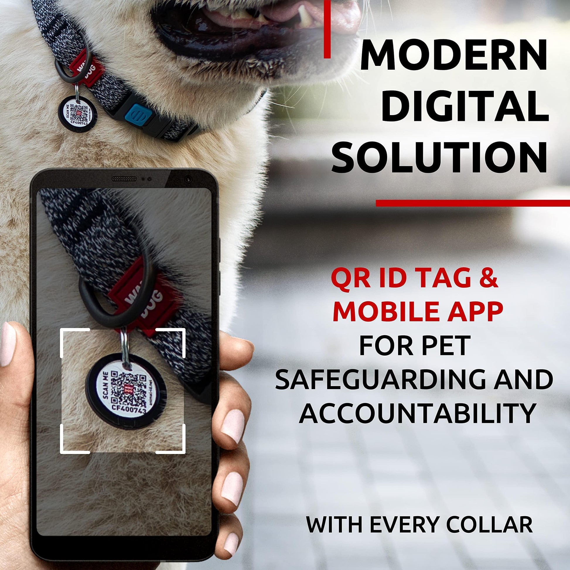 WAUDOG Adjustable Reflective Cotton Dog Collar with QR ID Tag. Eco Friendly Alternative to Nylon. XLARGE. Gray. For Pet With Love