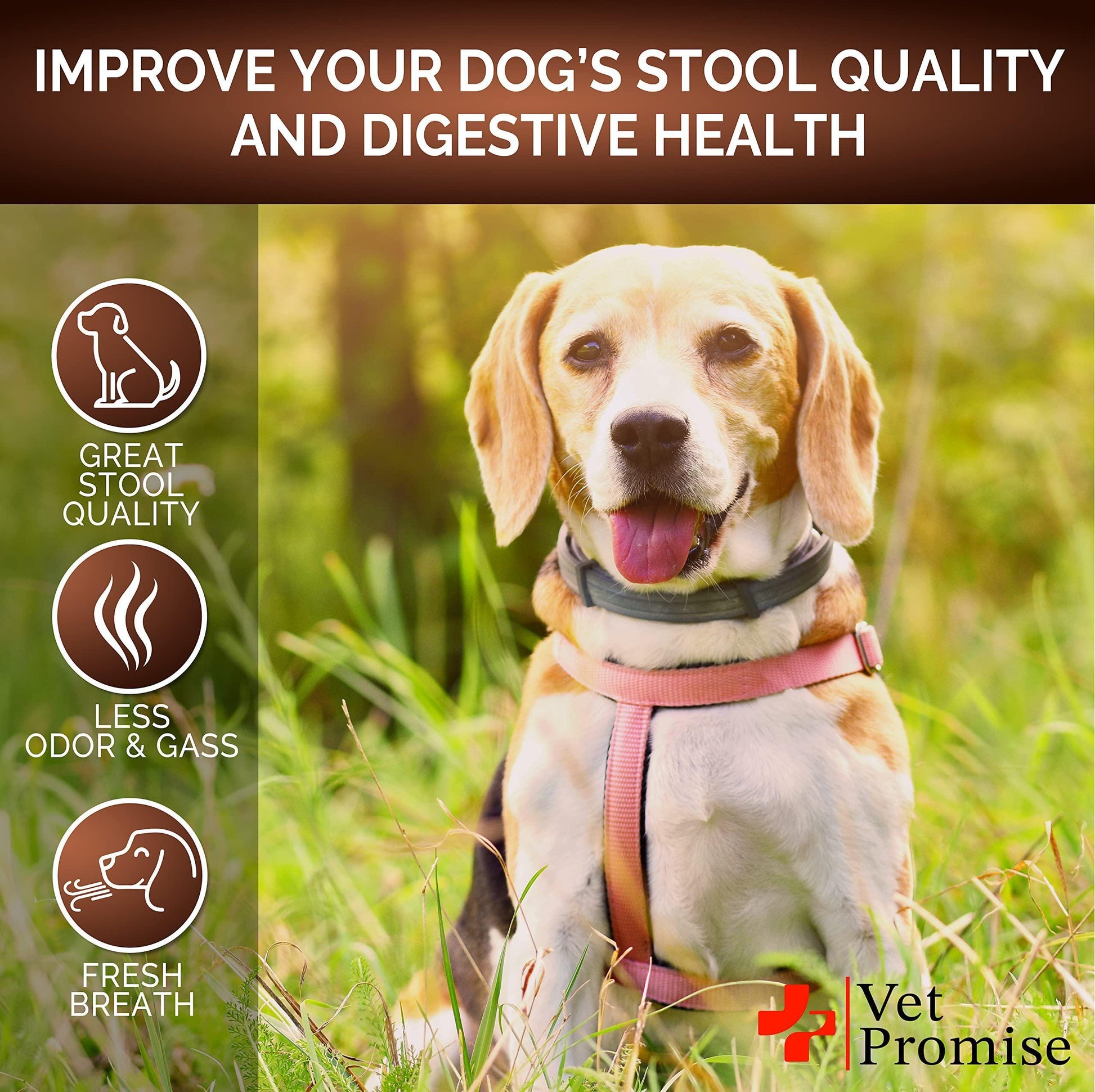 Vet Promise Probiotics & Digestive Enzymes for Dogs Firm Stool & Diarrhea Relief 120 Chews For Pet With Love