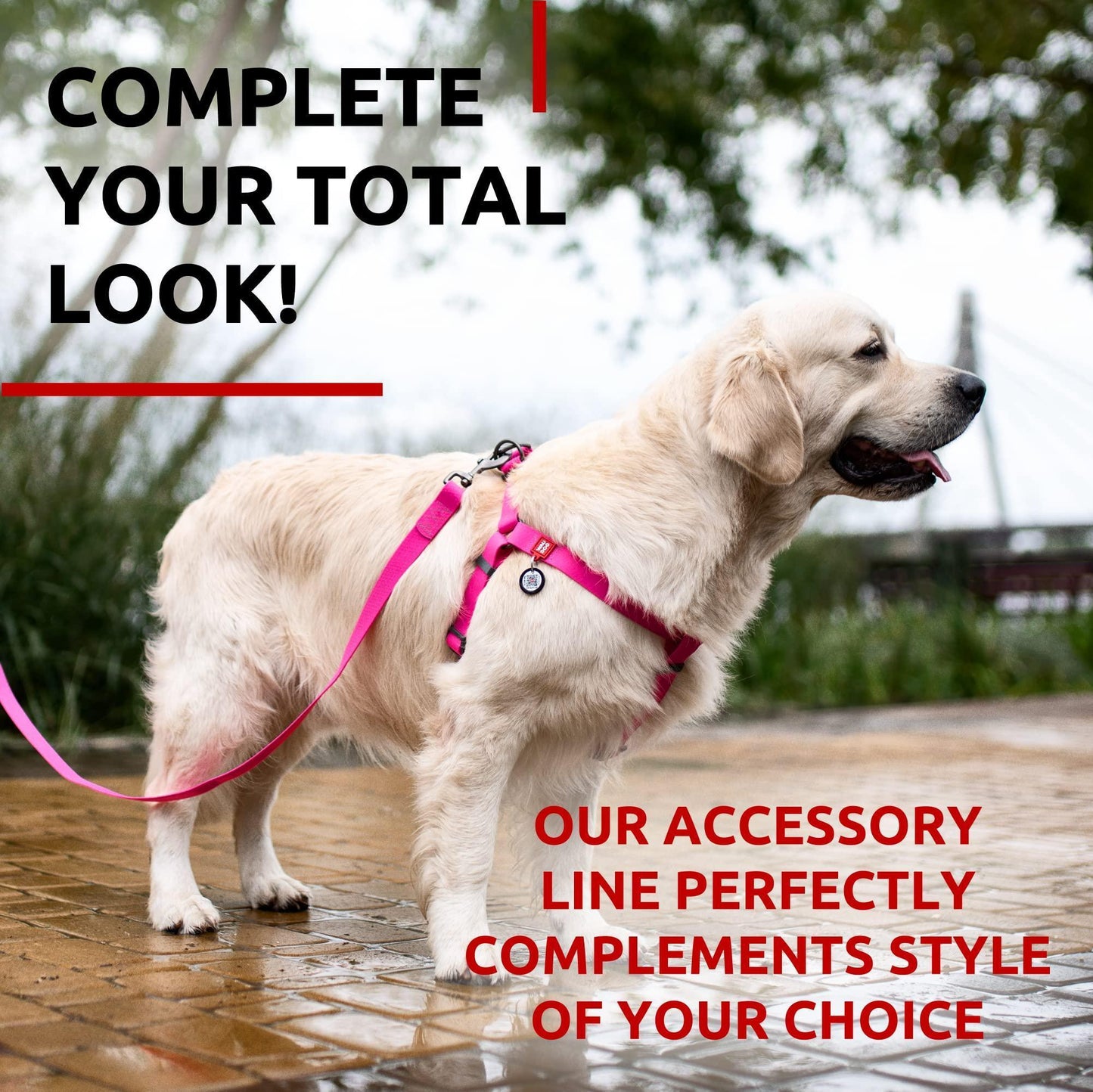 Waterproof Dog Leash 4 Ft   6 Ft   Anti Slip Dog Leash for Large Dogs Small and For Pet With Love