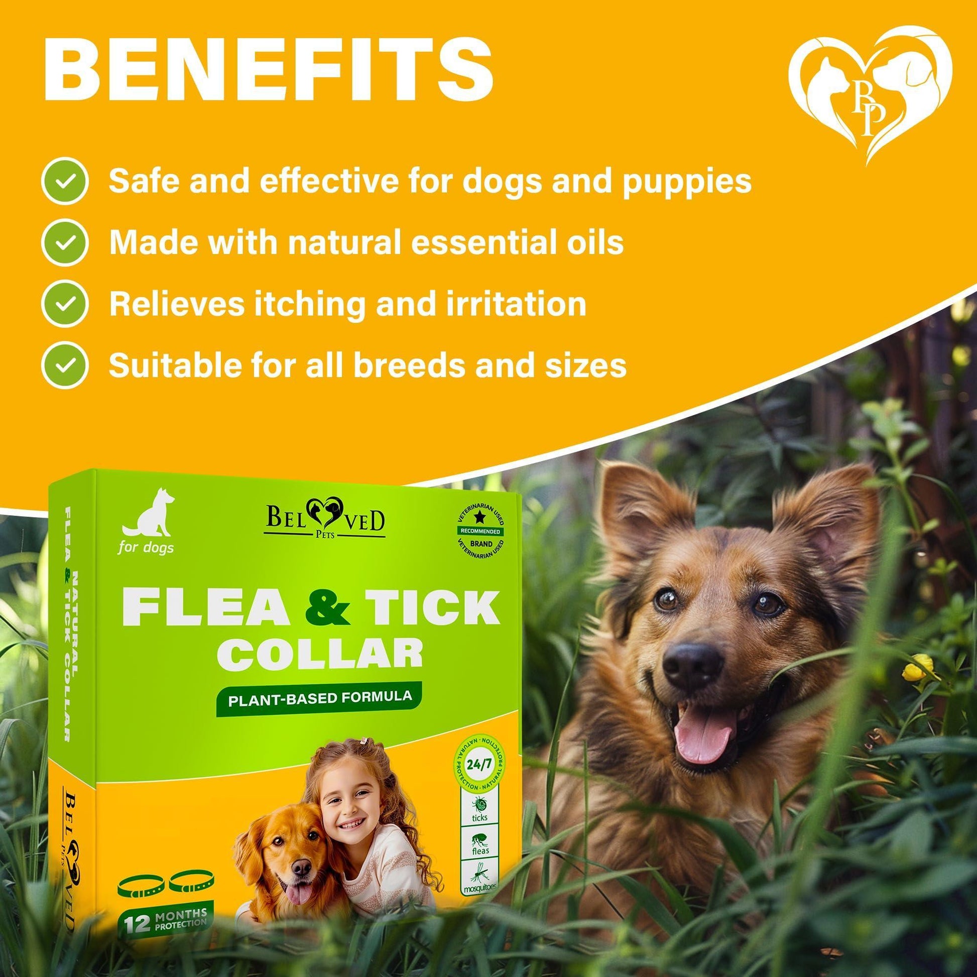 Beloved Pets Natural Anti Fleas and Ticks Essential Oil Repellent Collar for Dogs. 6 Months Control of Best Prevention & Safe Treatment. (Pack of 2) For Pet With Love