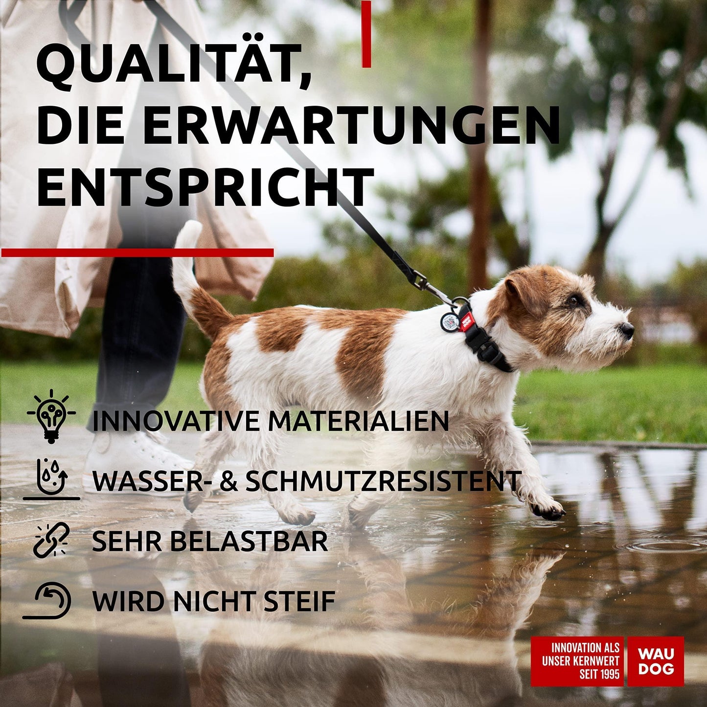 WAUDOG Adjustable Waterproof Dog Collar with Durable Metal Clasp and QR Dog Tag. BLACK. SMALL For Pet With Love