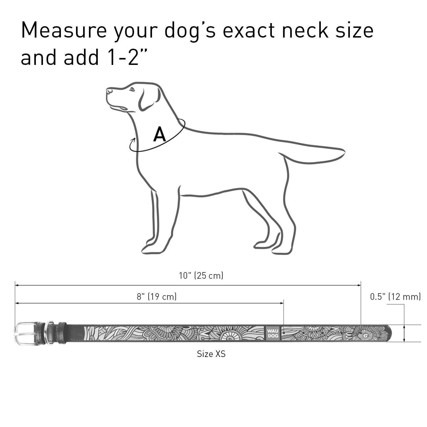 WAUDOG Design Leather Dog Collar for Dogs (Summer Print)  7 1/5" - 9 2/5" Neck X 1/2" Wide For Pet With Love