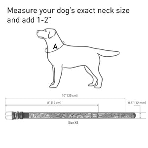 WAUDOG Design Leather Dog Collar for Dogs (Summer Print)  7 1/5" - 9 2/5" Neck X 1/2" Wide