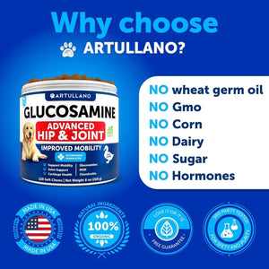Artullano Canine Hip and Joint Supplement with Chondroitin, Hemp Oil, MSM 120 Ct