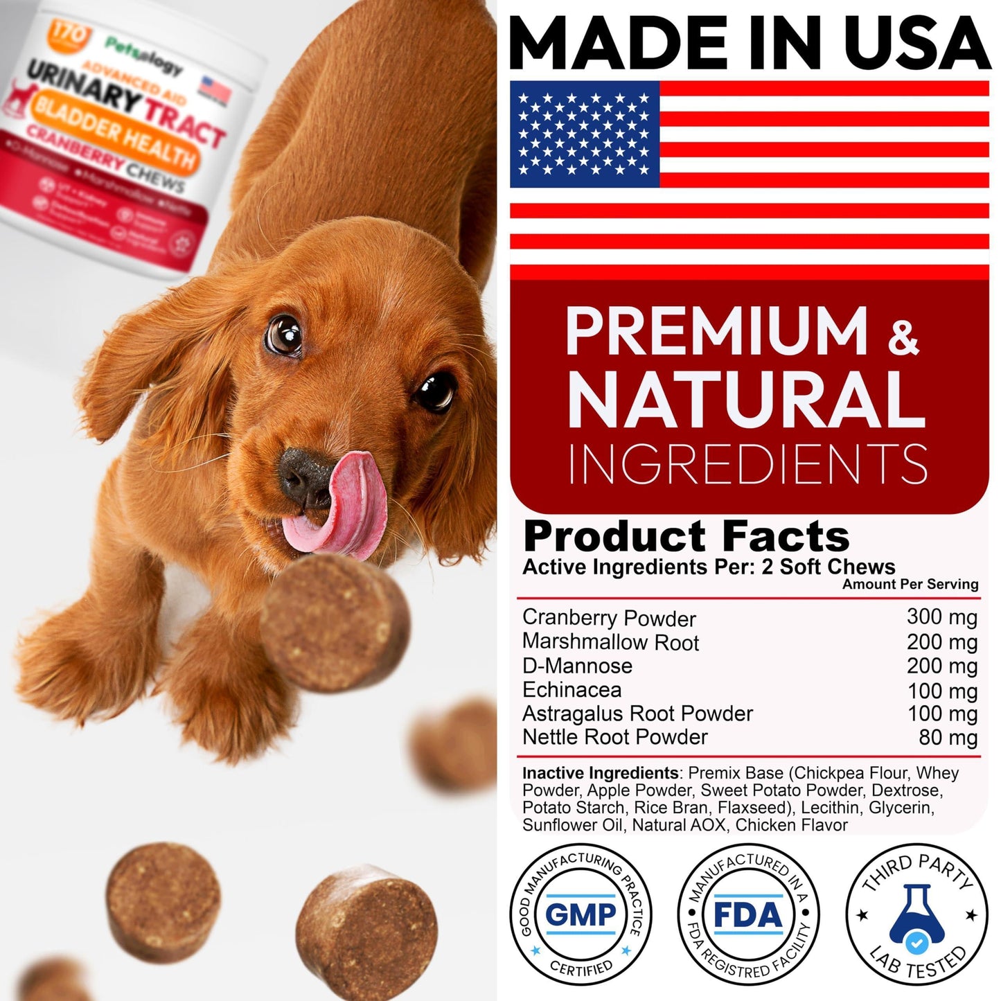 PETSOLOGY Advanced UTI Treatment Cranberry Multivitamin Supplement for Dogs. 170 Chews For Pet With Love