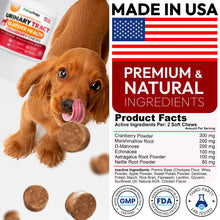 Load image into Gallery viewer, PETSOLOGY Advanced UTI Treatment Cranberry Multivitamin Supplement for Dogs. 170 Chews
