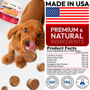PETSOLOGY Advanced UTI Treatment Cranberry Multivitamin Supplement for Dogs. 170 Chews