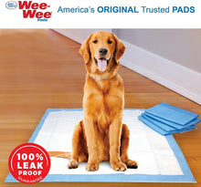 Load image into Gallery viewer, Four Paws X-Large Wee Wee Pads for Dogs
