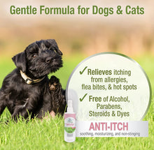 Load image into Gallery viewer, Four Paws Pet Aid Medicated Anti-Itch Spray
