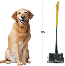 Load image into Gallery viewer, Four Paws Wee-Wee Pan and Rake Set Large
