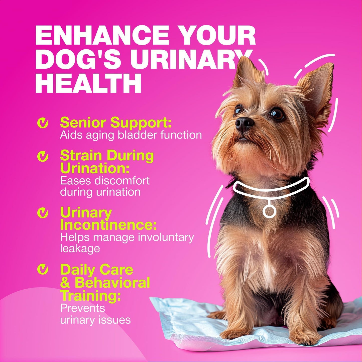 CHEWIA  Cranberry UTI Treatment Bladder Control Supplement  Dog Chews 180 Chews For Pet With Love