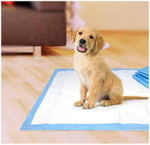 Load image into Gallery viewer, Four Paws Pee Pee Puppy Pads Standard
