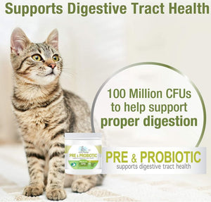 Four Paws Healthy Promise Pre and Probiotic Supplement for Cats