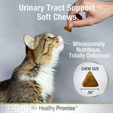 Load image into Gallery viewer, Four Paws Healthy Promise Urinary Tract Health Supplements for Cats
